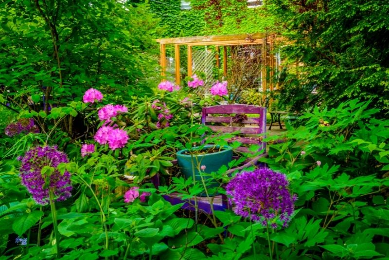 qualified and experienced pergola installation
