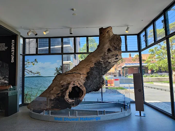 Newcastle Museum